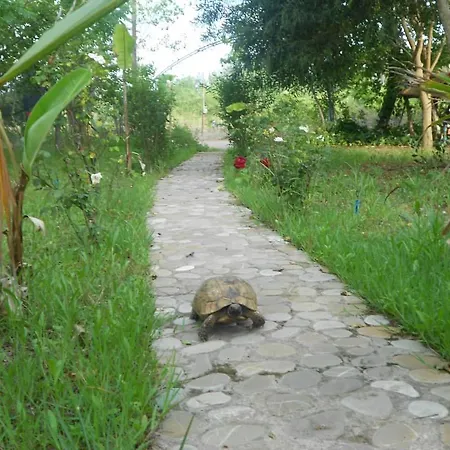 Szálloda Fire 3*