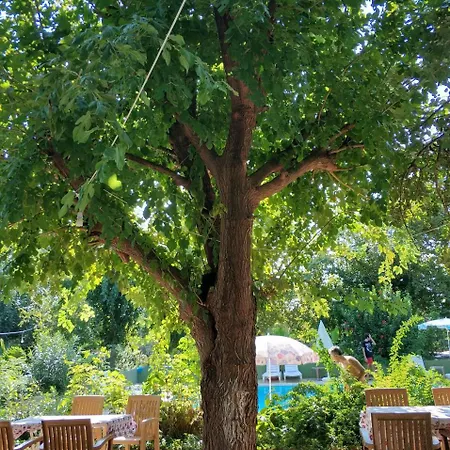 Fire Otel Çıralı